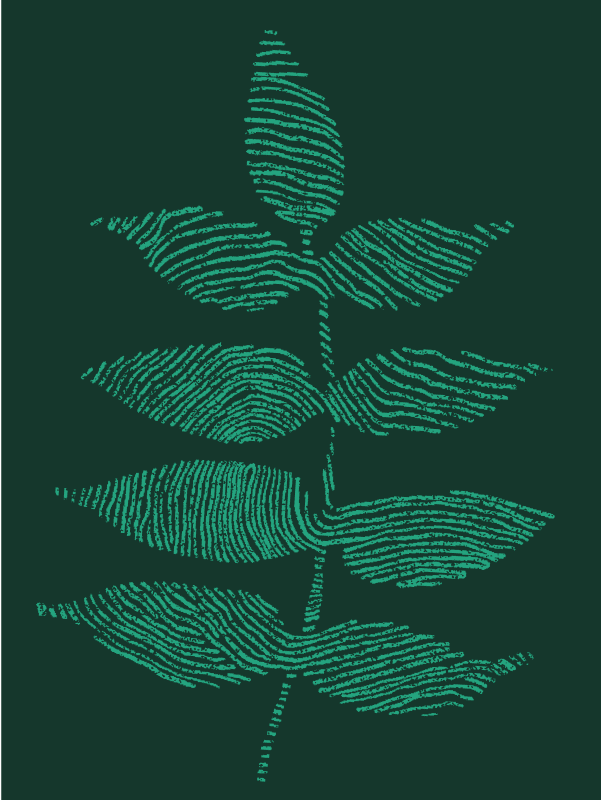 Image-of-a-fingerprint-plant
